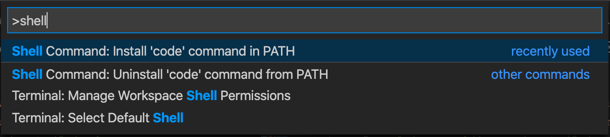 VScode Shell